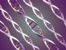 New gene therapy to halt rare inherited eye disorder