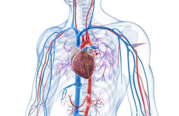 Study finds pre-diabetes almost doubles heart attack or stroke risk