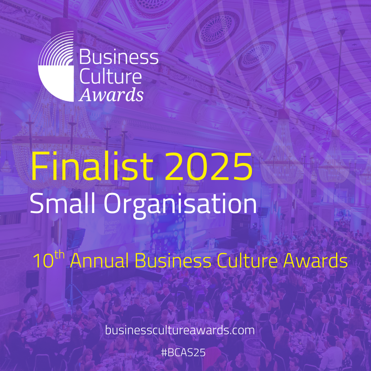 Business Culture Awards – Best Small Organisation for Business Culture
